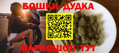 индика Аргун