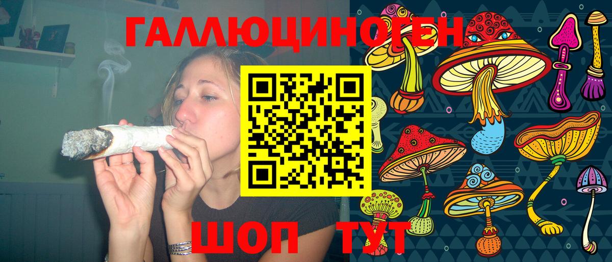 Волжск  Галлюциногенные грибы Psilocybe  Вход с VPN 