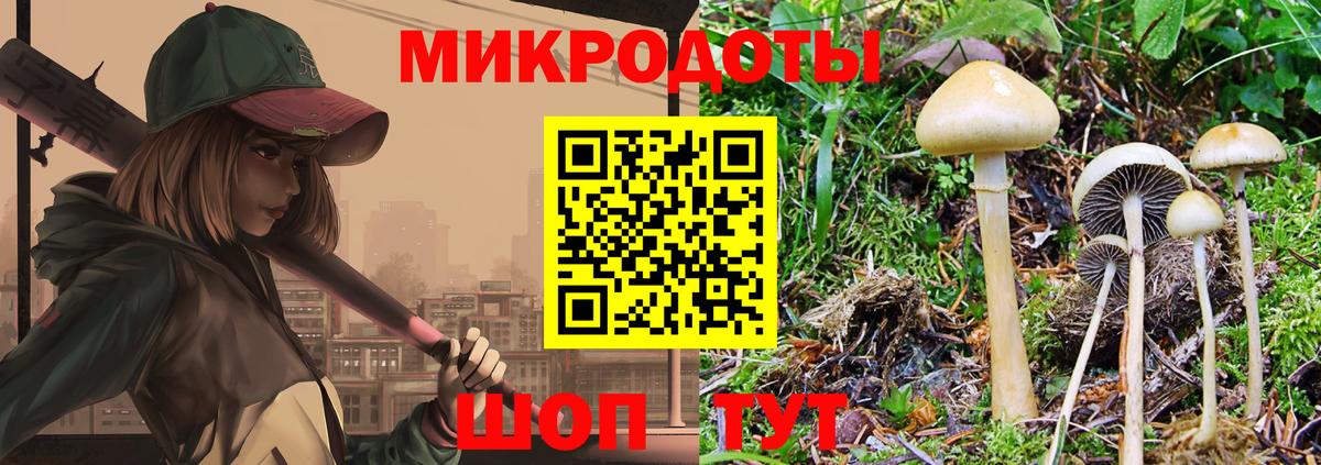 Галлюциногенные грибы Cubensis Волжск